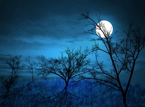Full-Moon-Midnight-Forest-by-G-1250-8505-1379327822